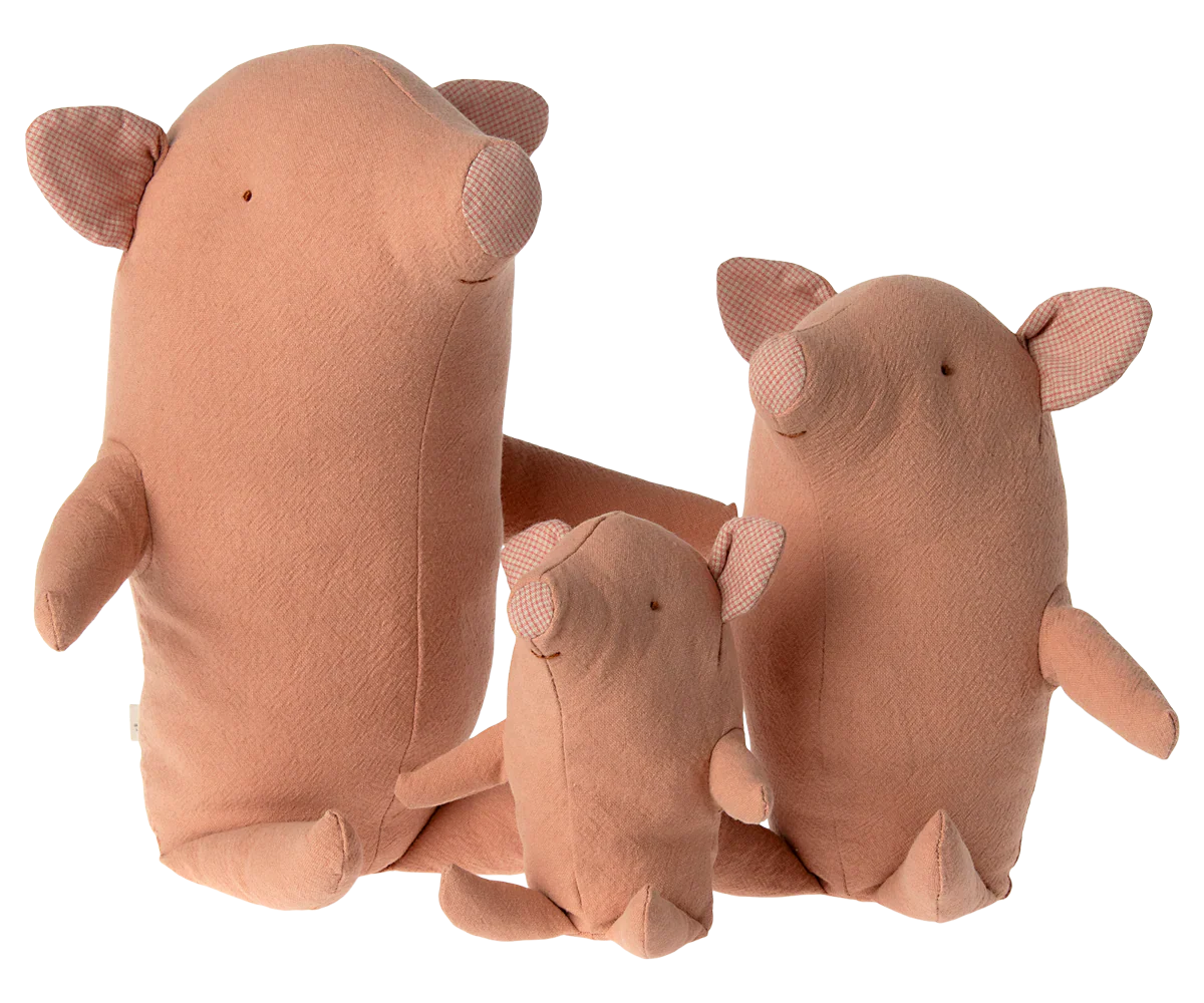 Small Truffle Pig