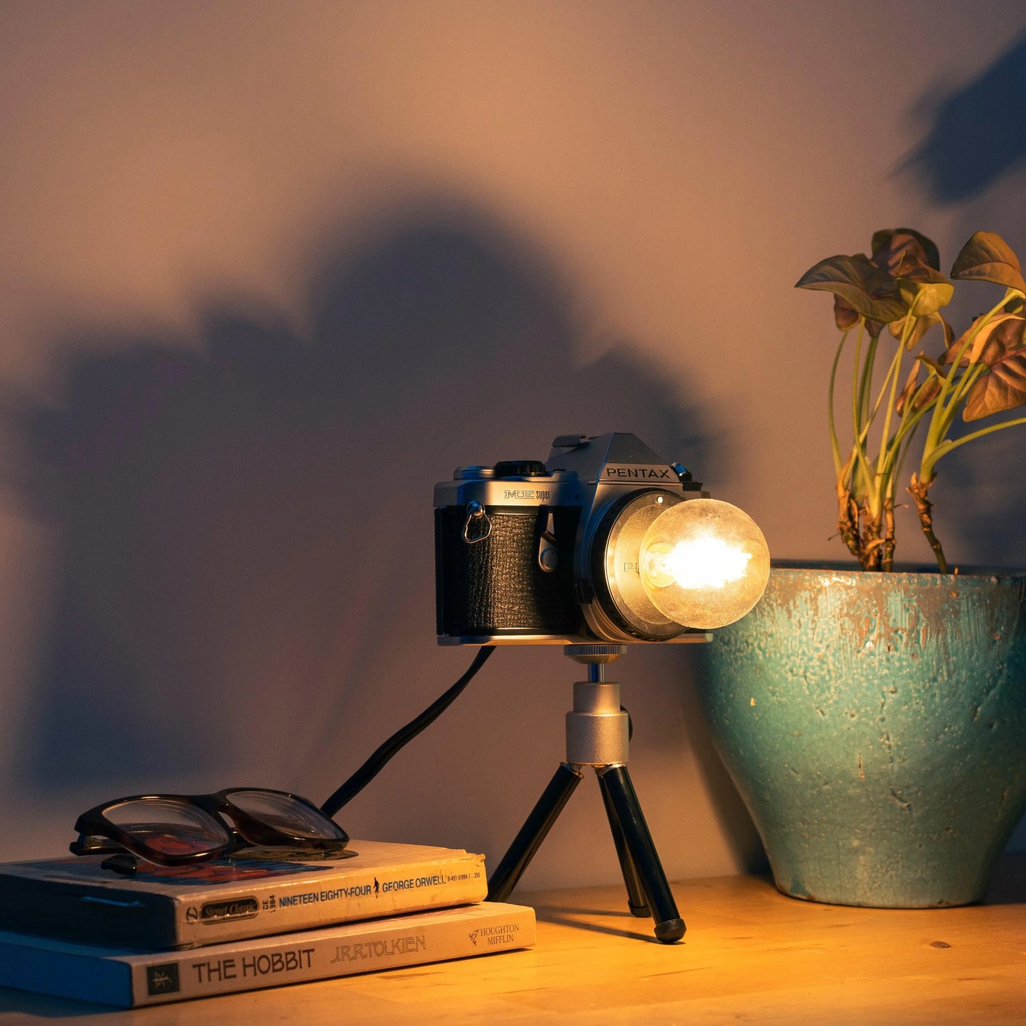Cute Camera Co. Desk Lamp