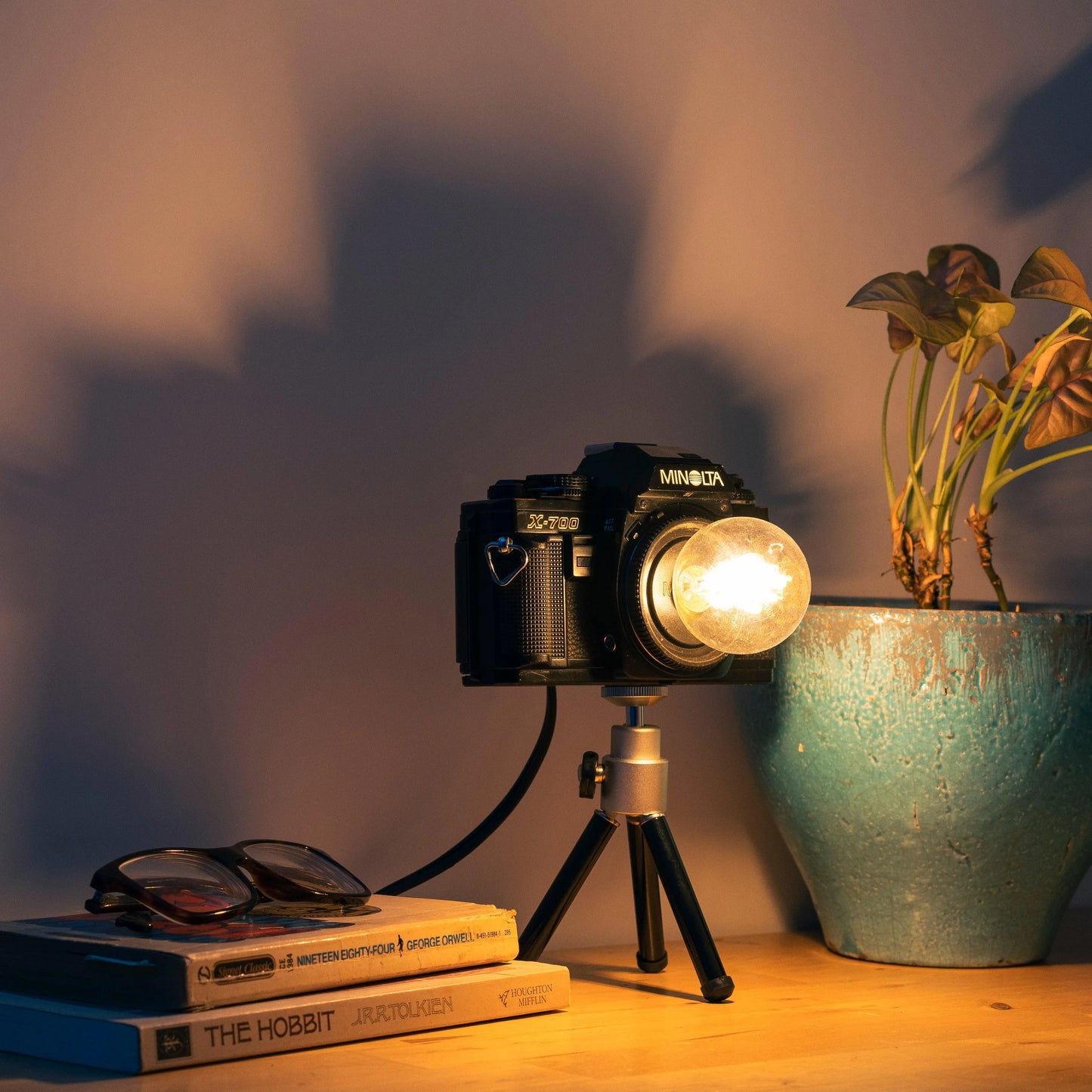 Cute Camera Co. Desk Lamp