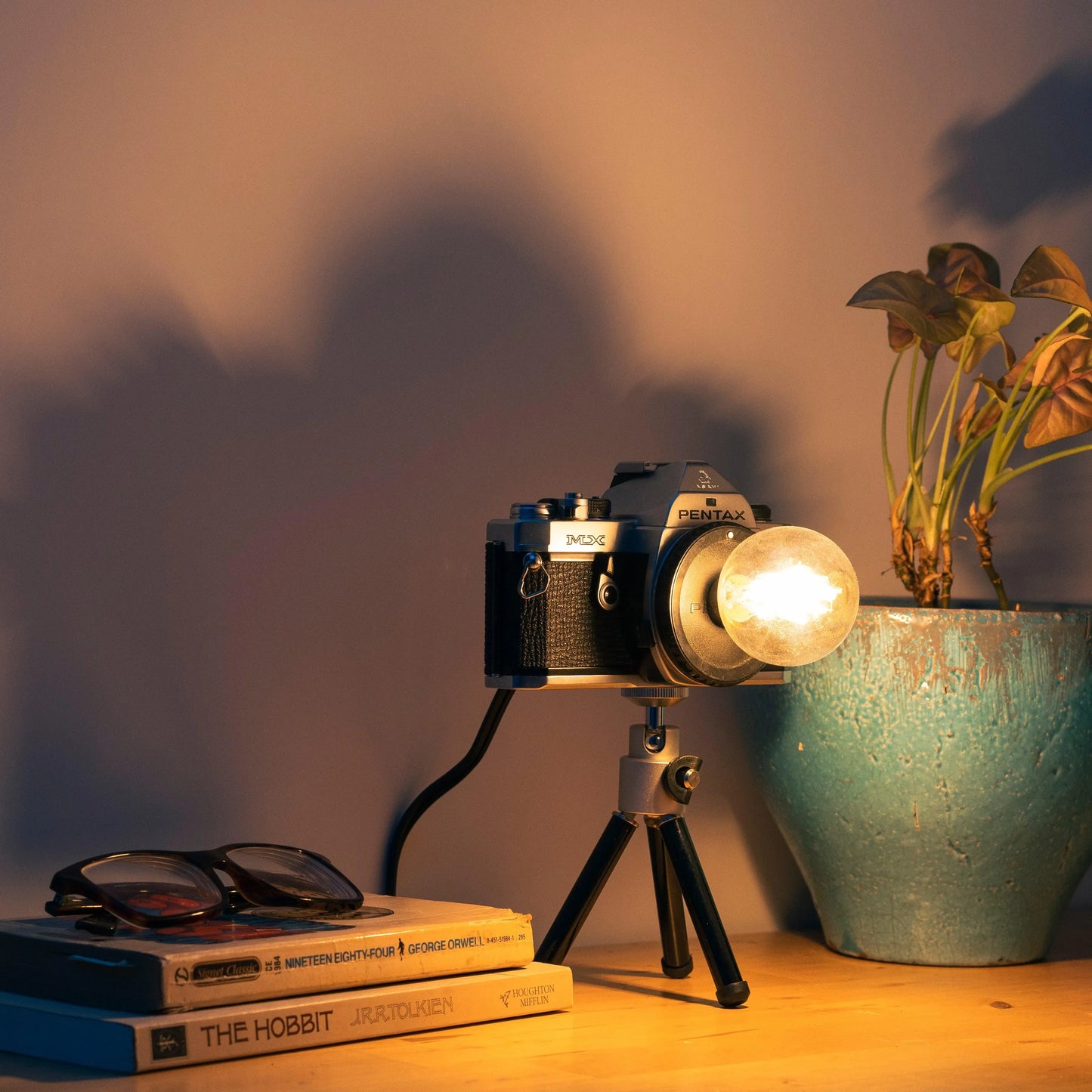 Cute Camera Co. Desk Lamp