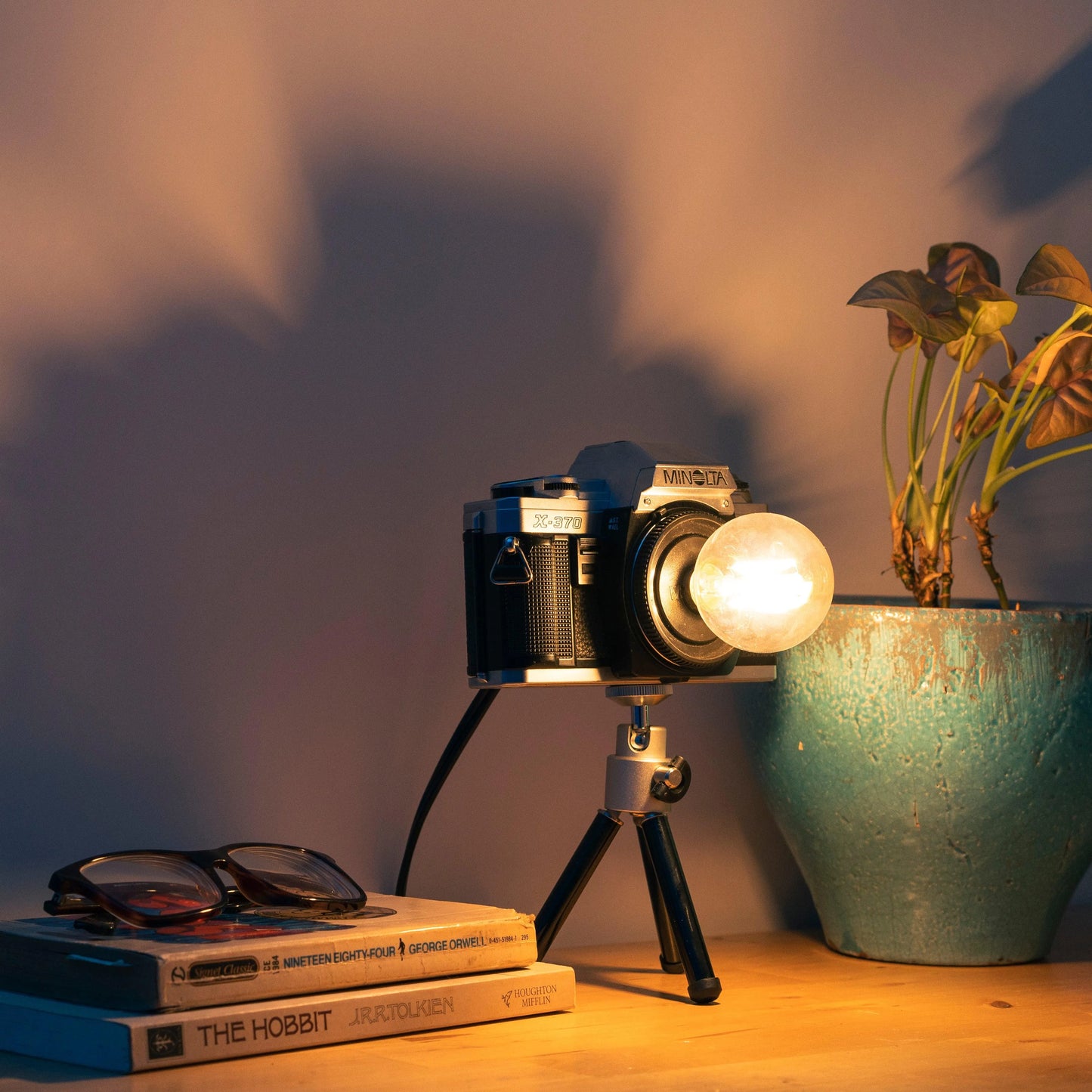 Cute Camera Co. Desk Lamp