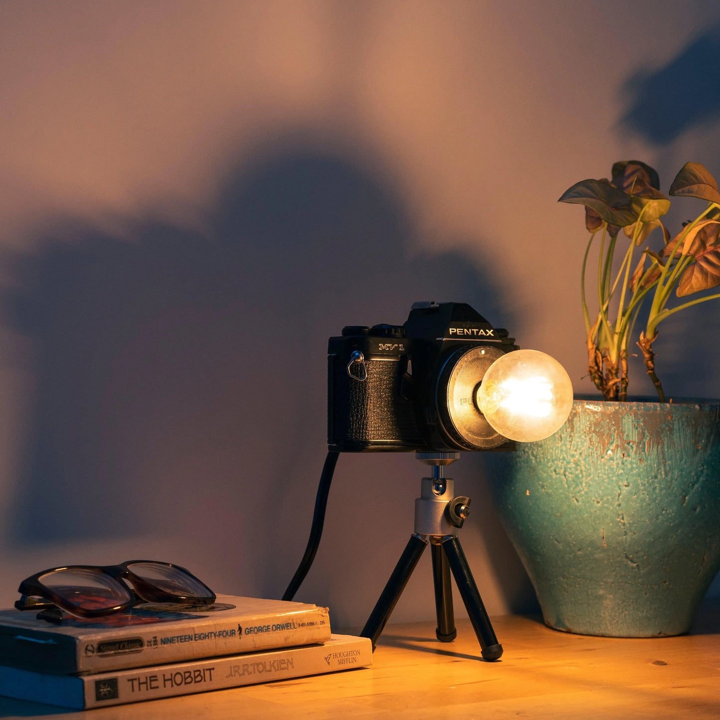 Cute Camera Co. Desk Lamp