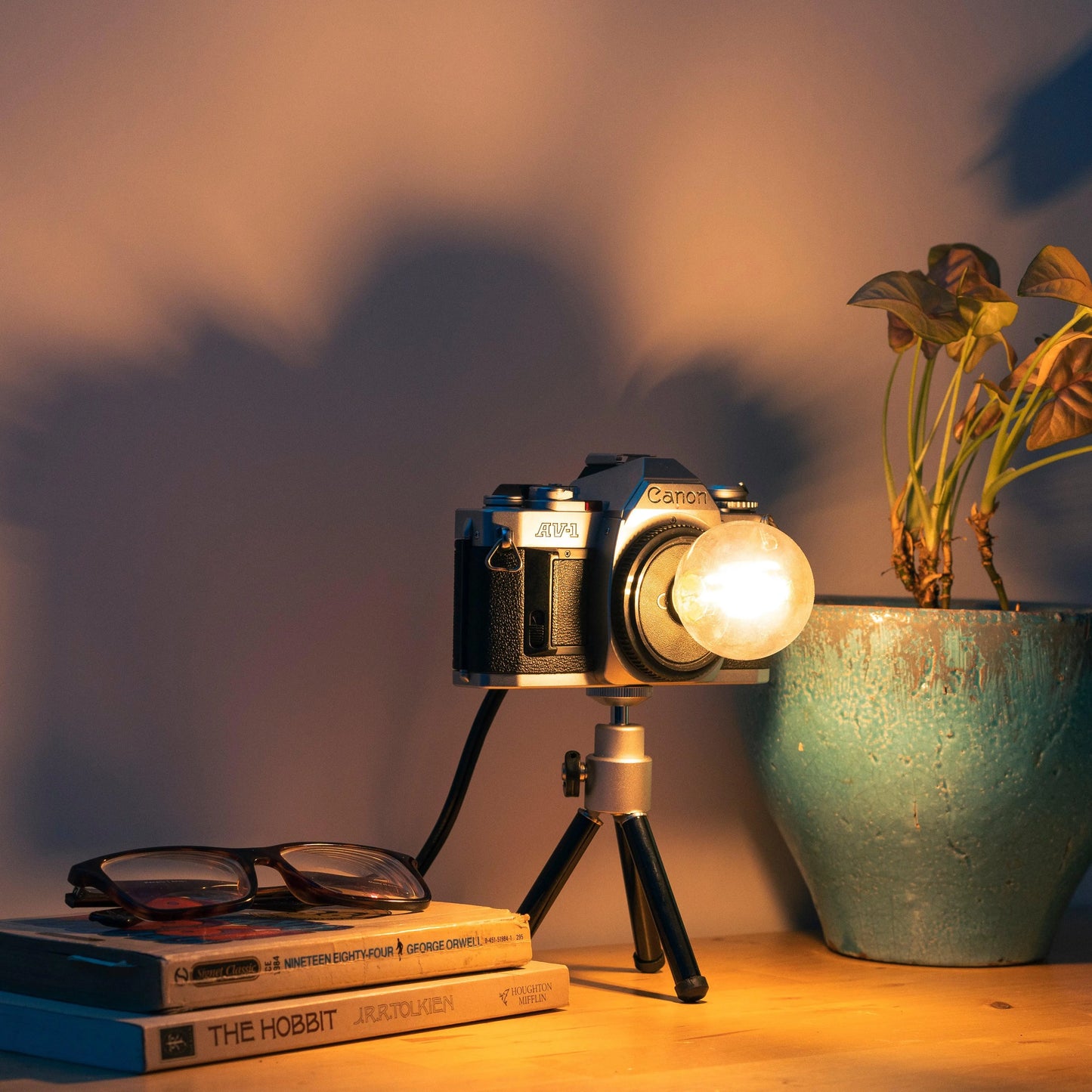 Cute Camera Co. Desk Lamp