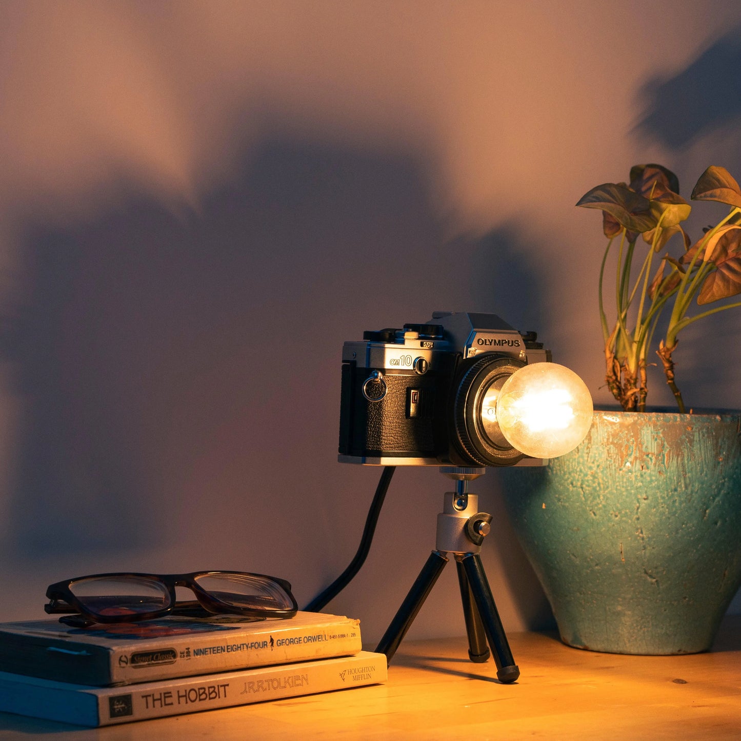 Cute Camera Co. Desk Lamp