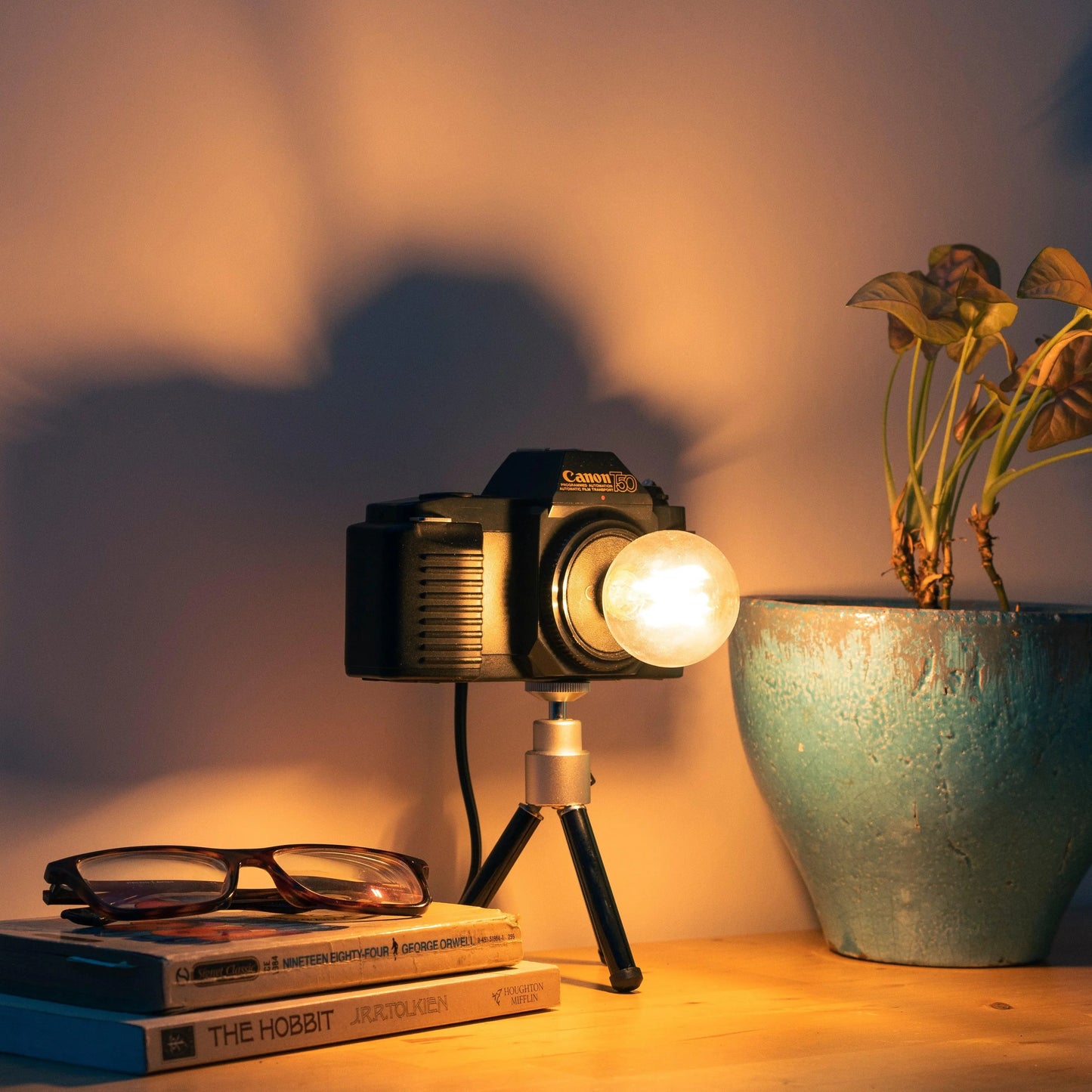 Cute Camera Co. Desk Lamp