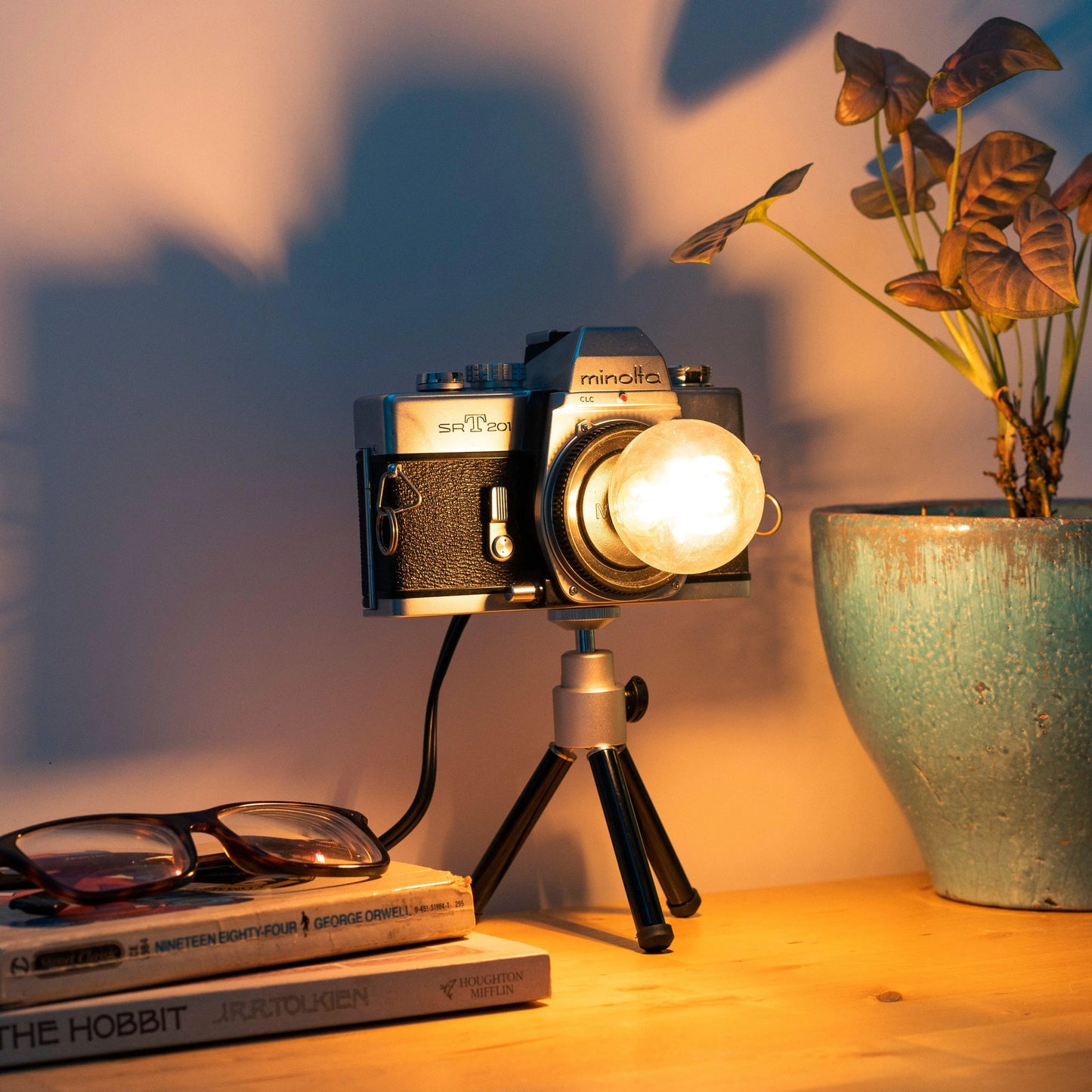 Cute Camera Co. Desk Lamp