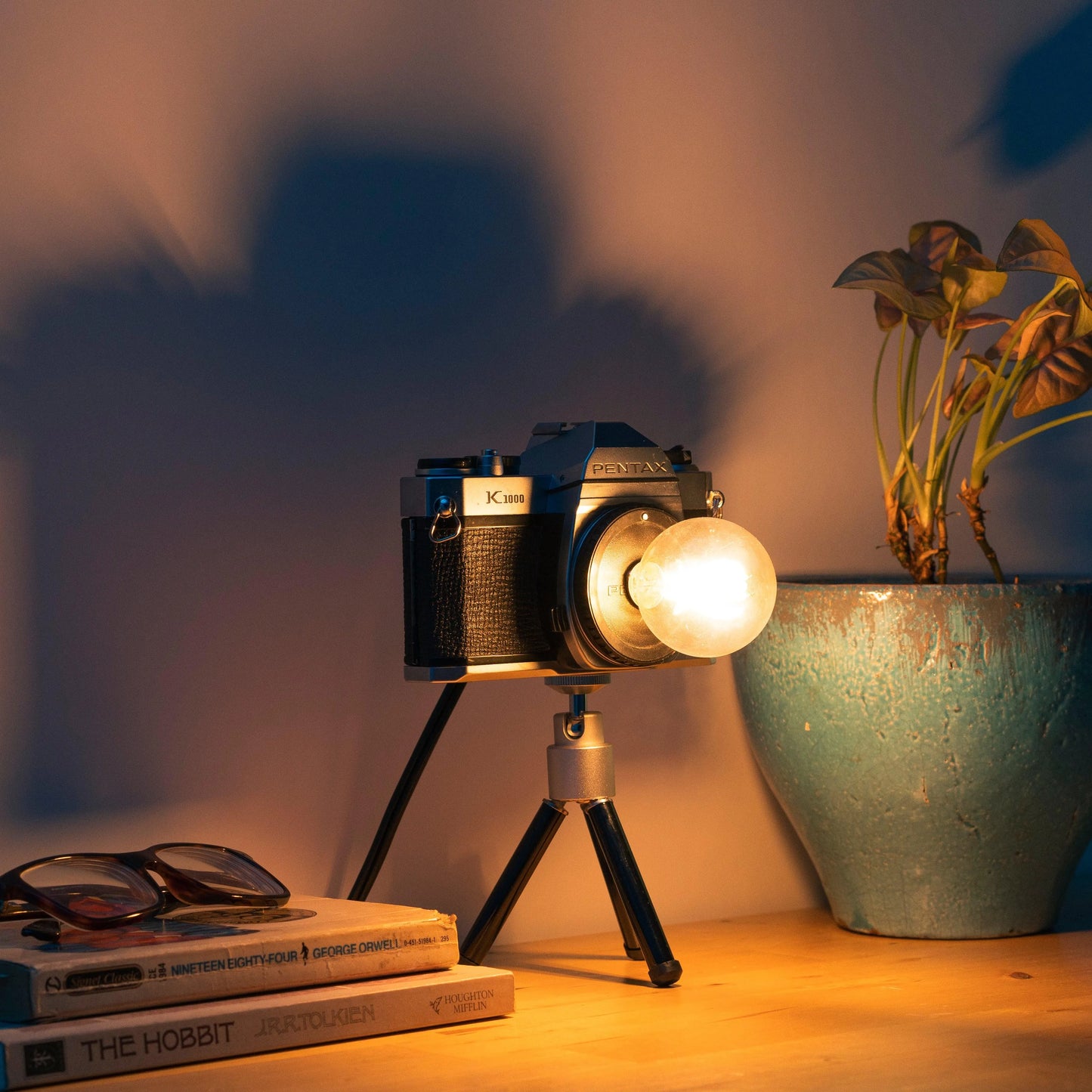Cute Camera Co. Desk Lamp