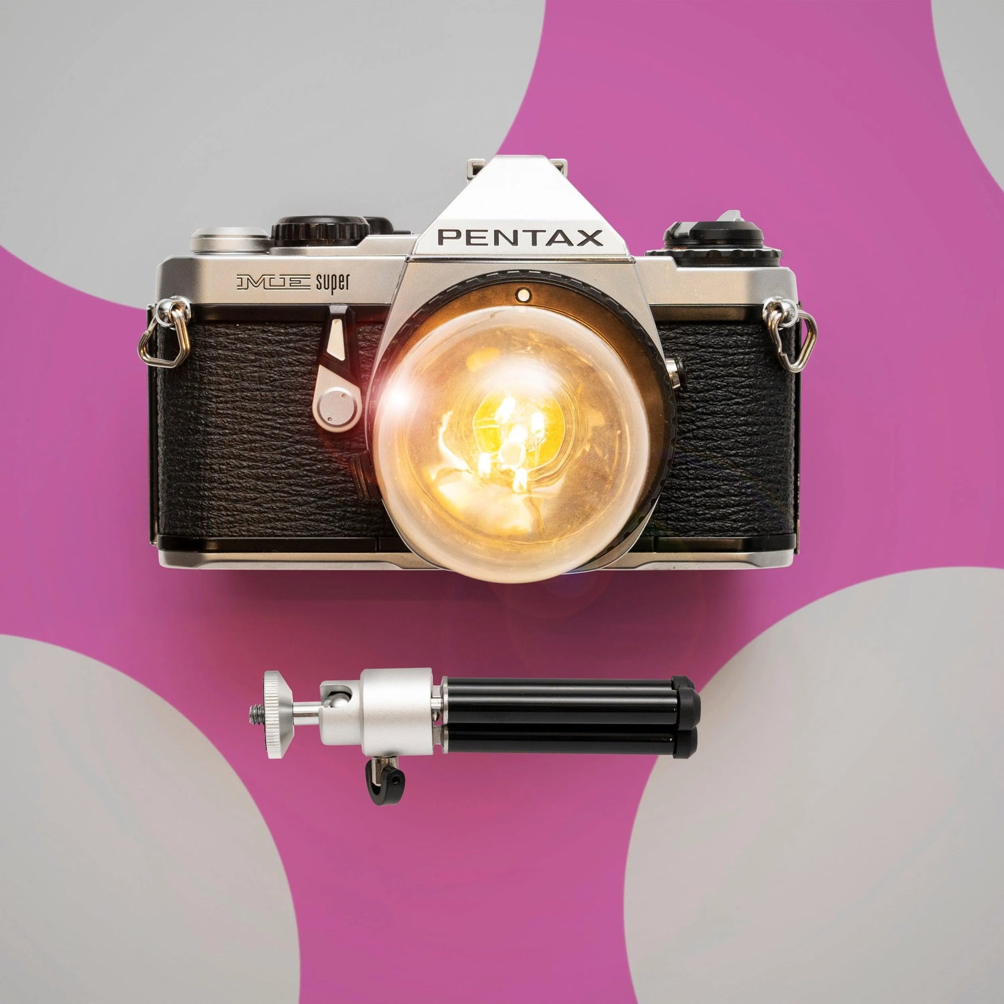 Cute Camera Co. Desk Lamp