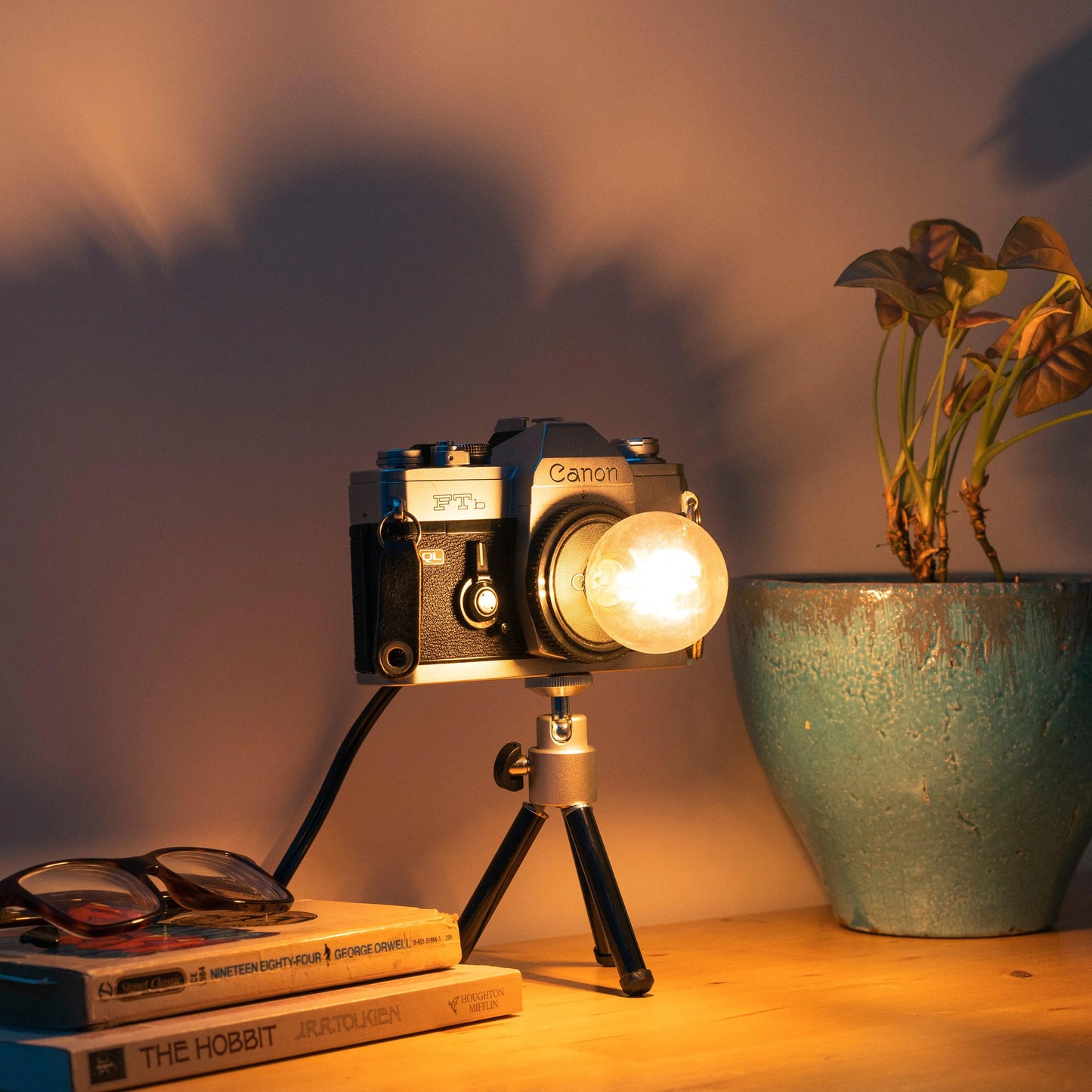 Cute Camera Co. Desk Lamp