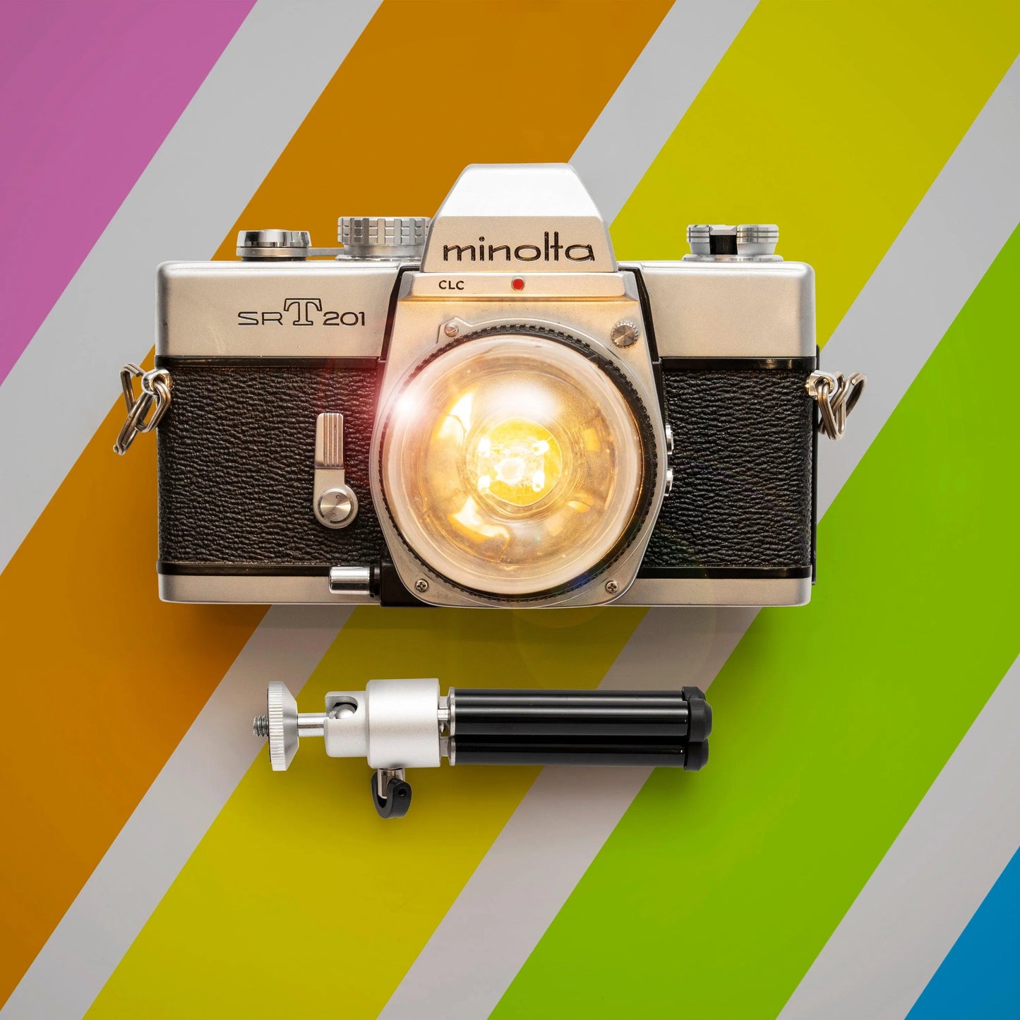 Cute Camera Co. Desk Lamp