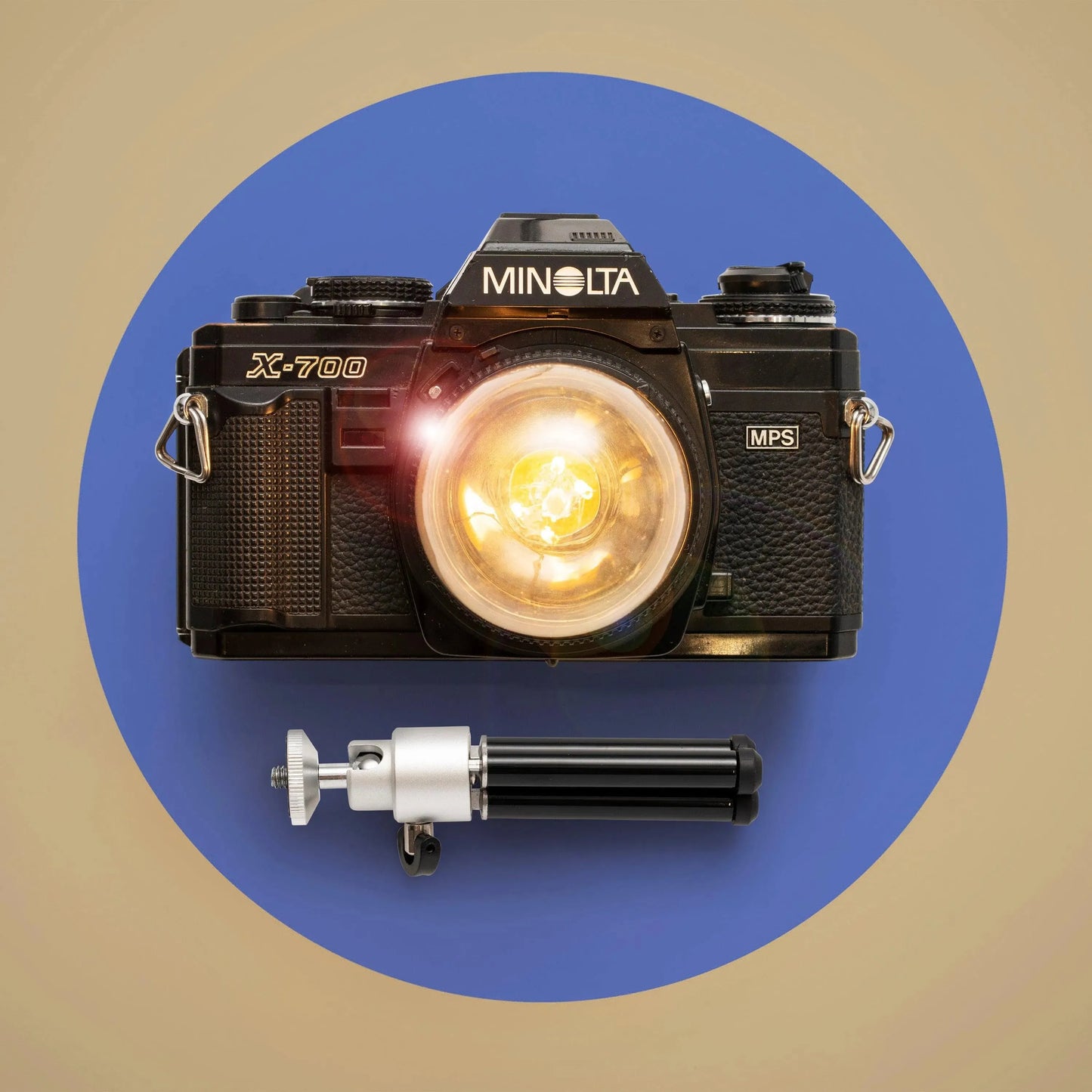Cute Camera Co. Desk Lamp