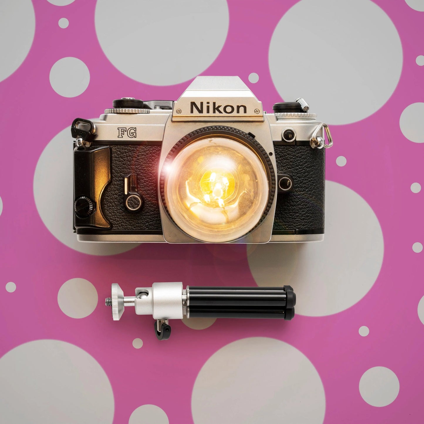 Cute Camera Co. Desk Lamp