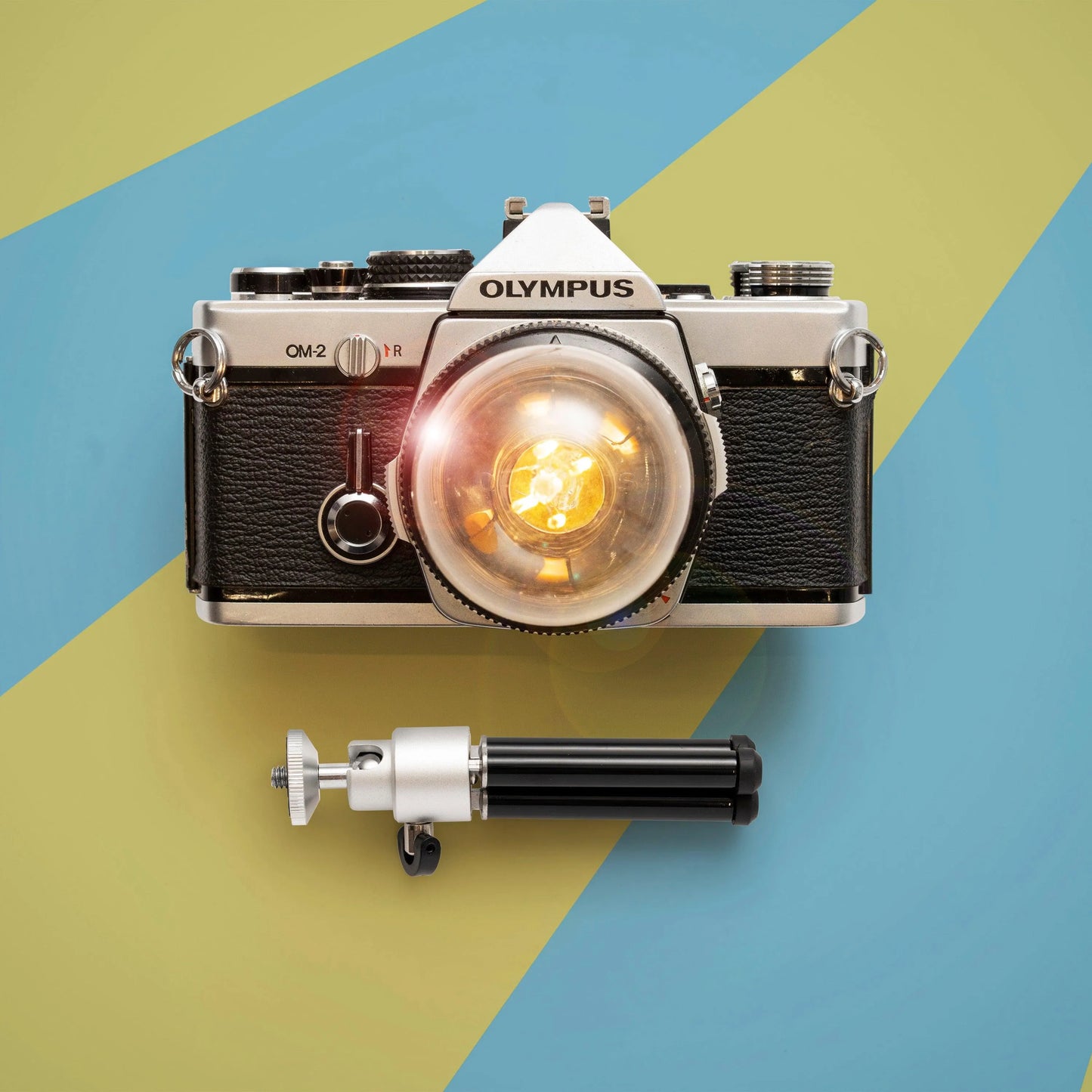 Cute Camera Co. Desk Lamp