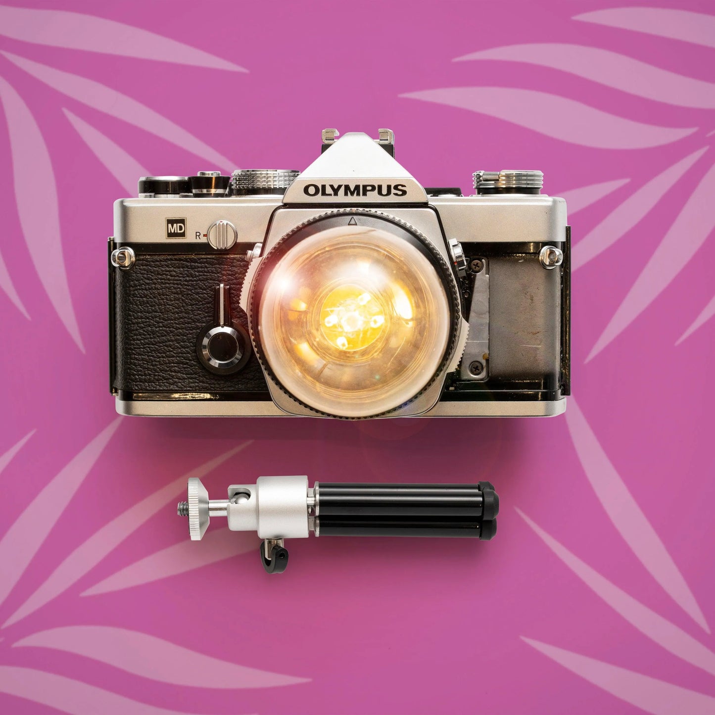 Cute Camera Co. Desk Lamp