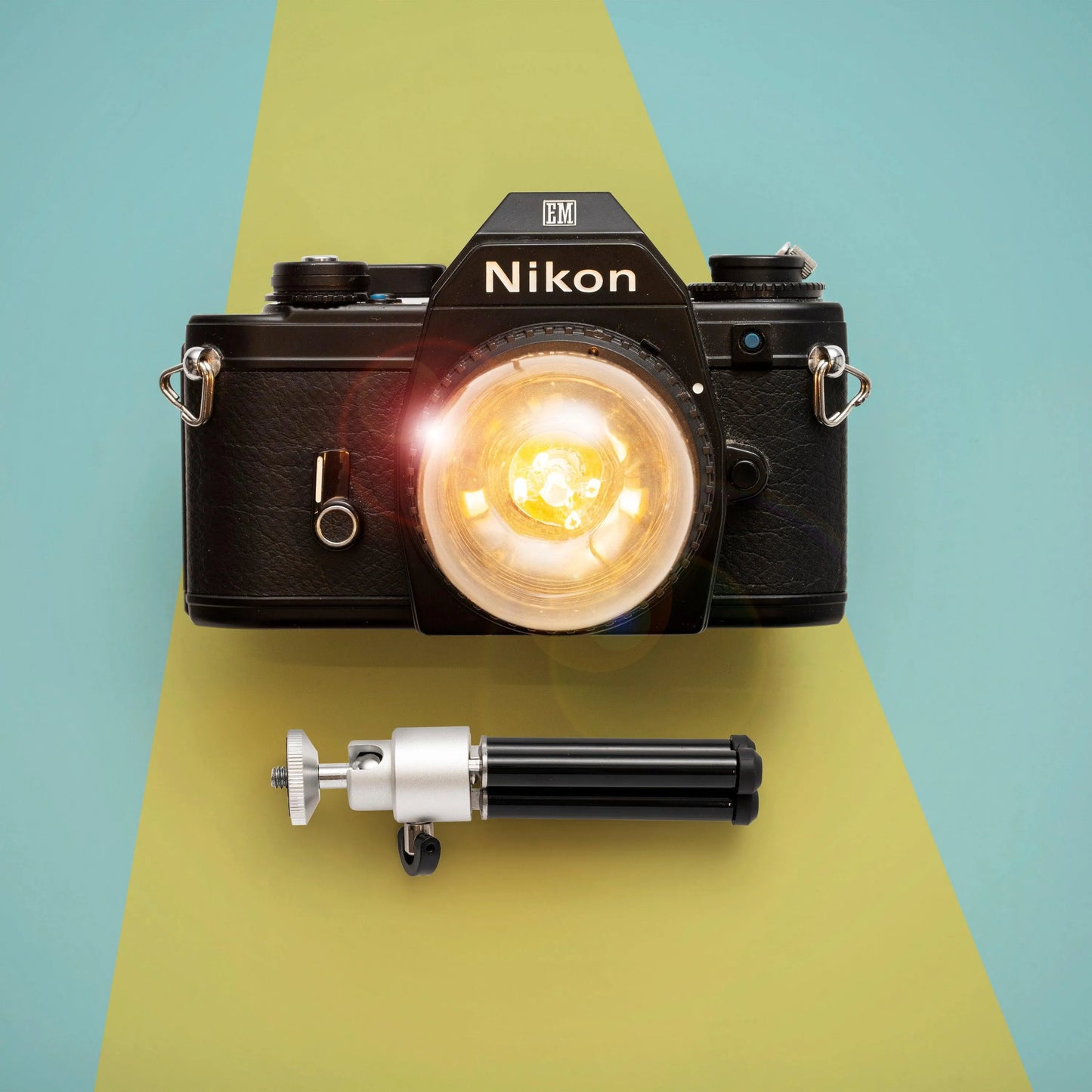 Cute Camera Co. Desk Lamp
