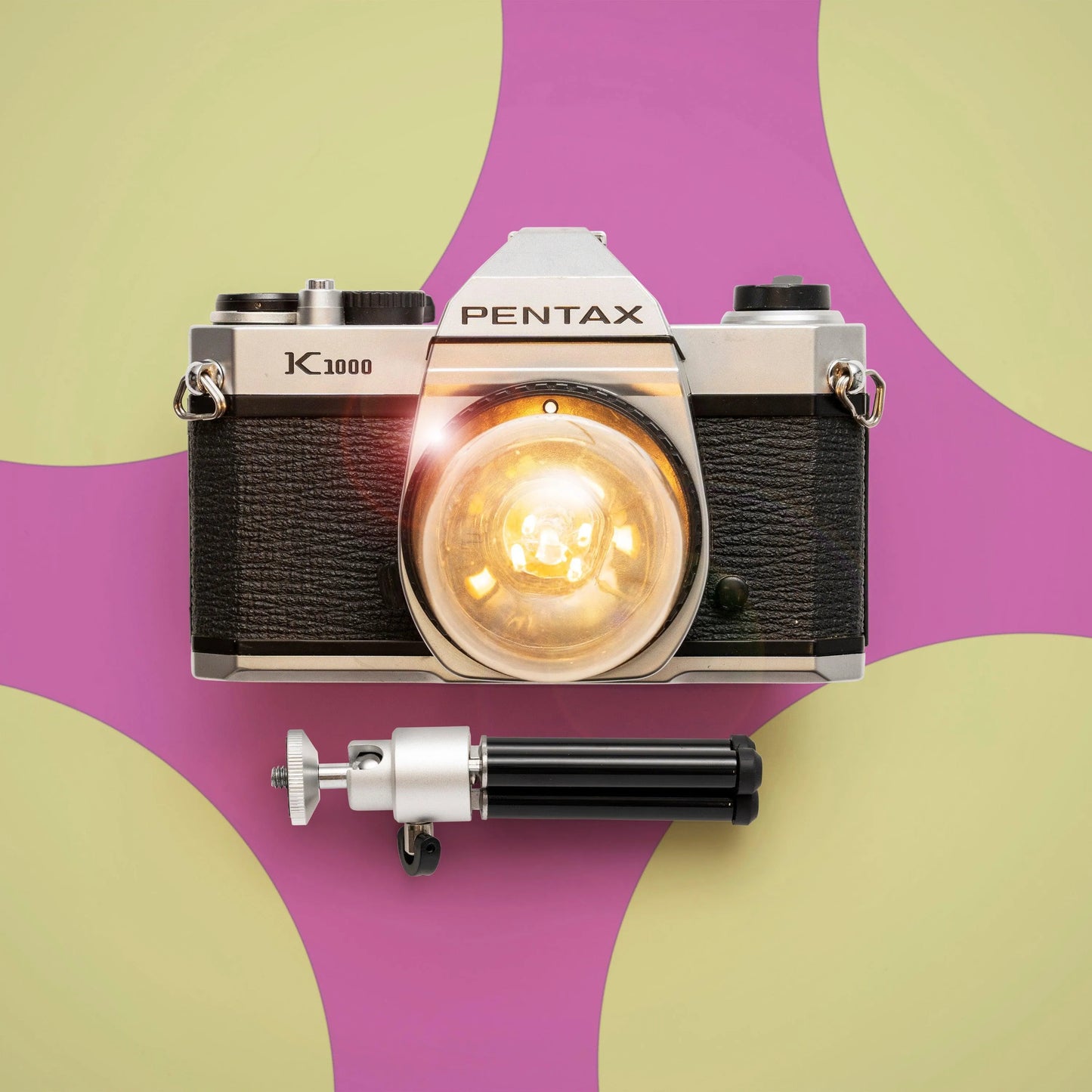 Cute Camera Co. Desk Lamp