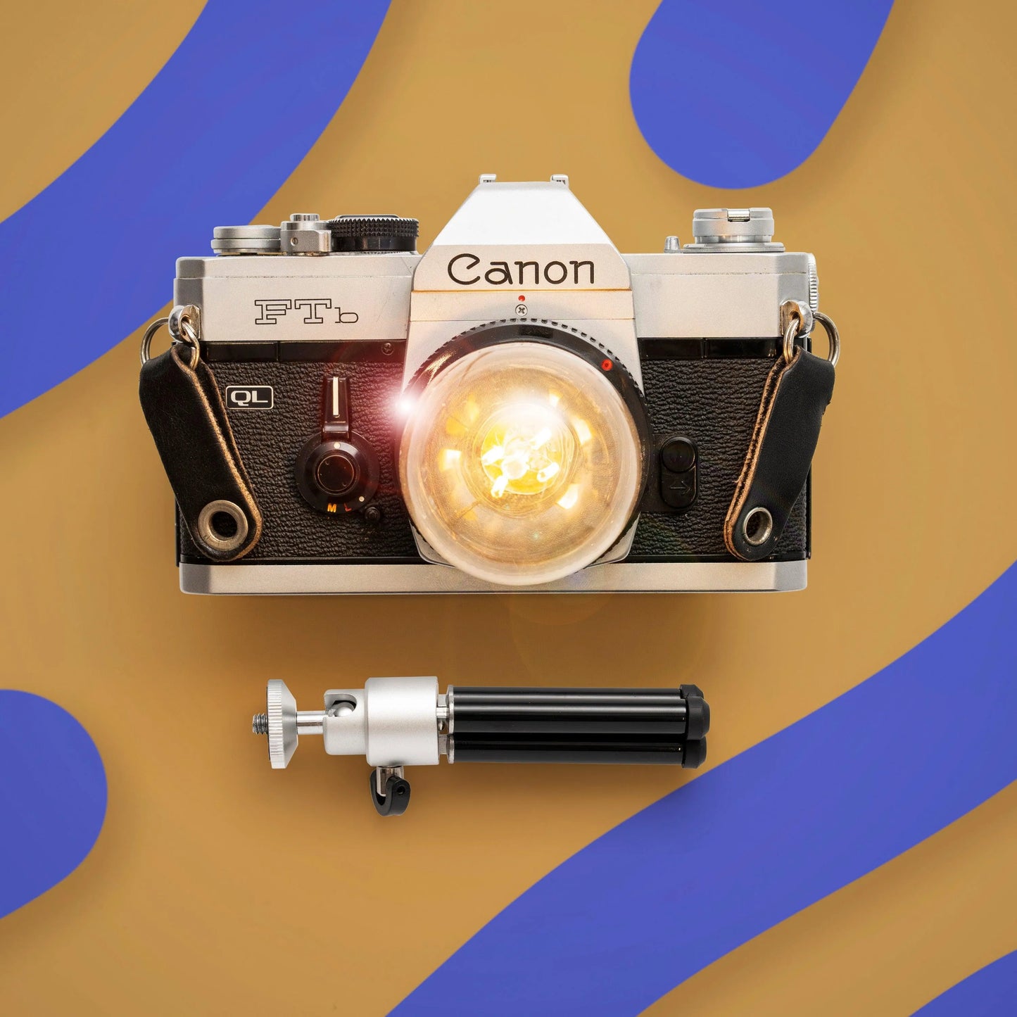 Cute Camera Co. Desk Lamp