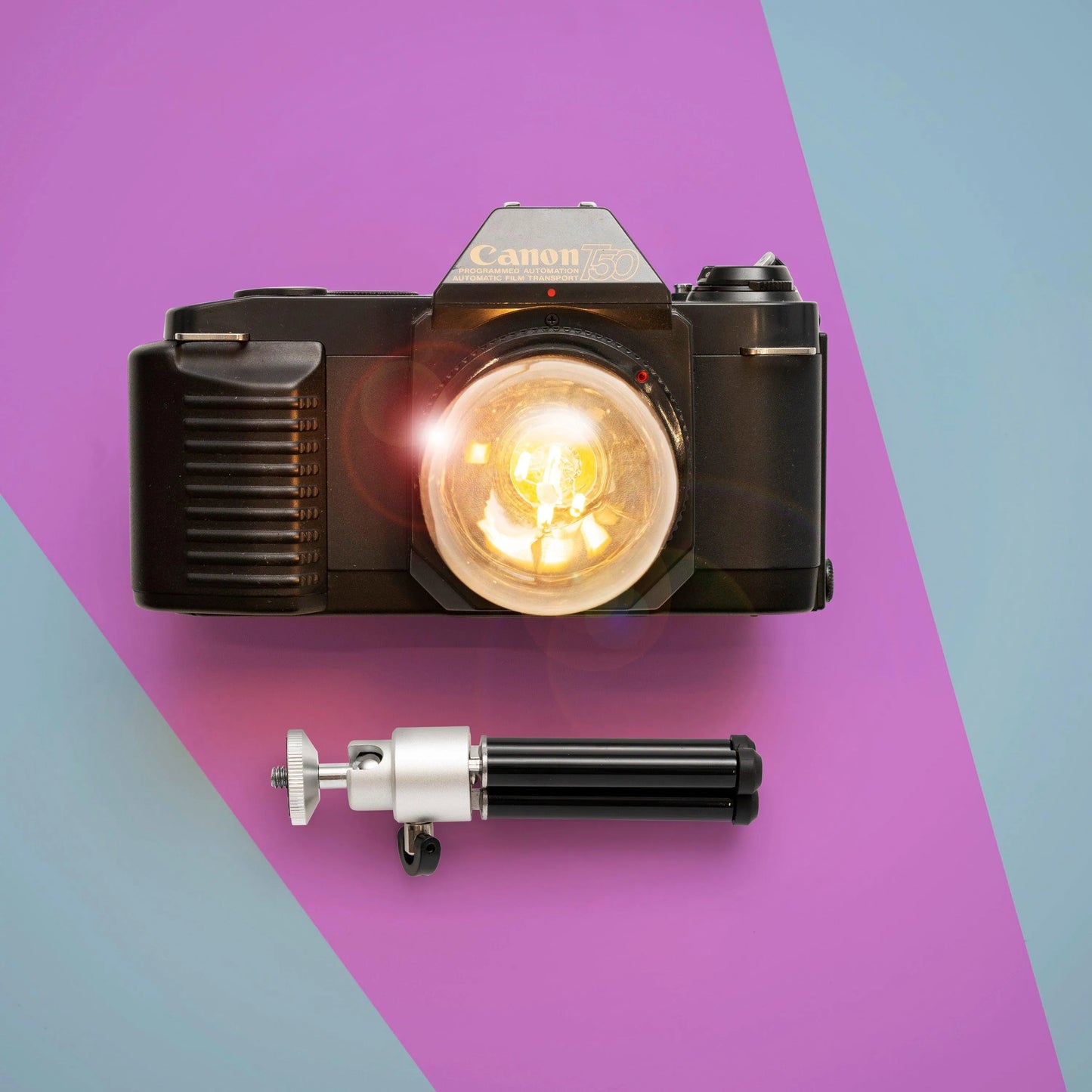 Cute Camera Co. Desk Lamp