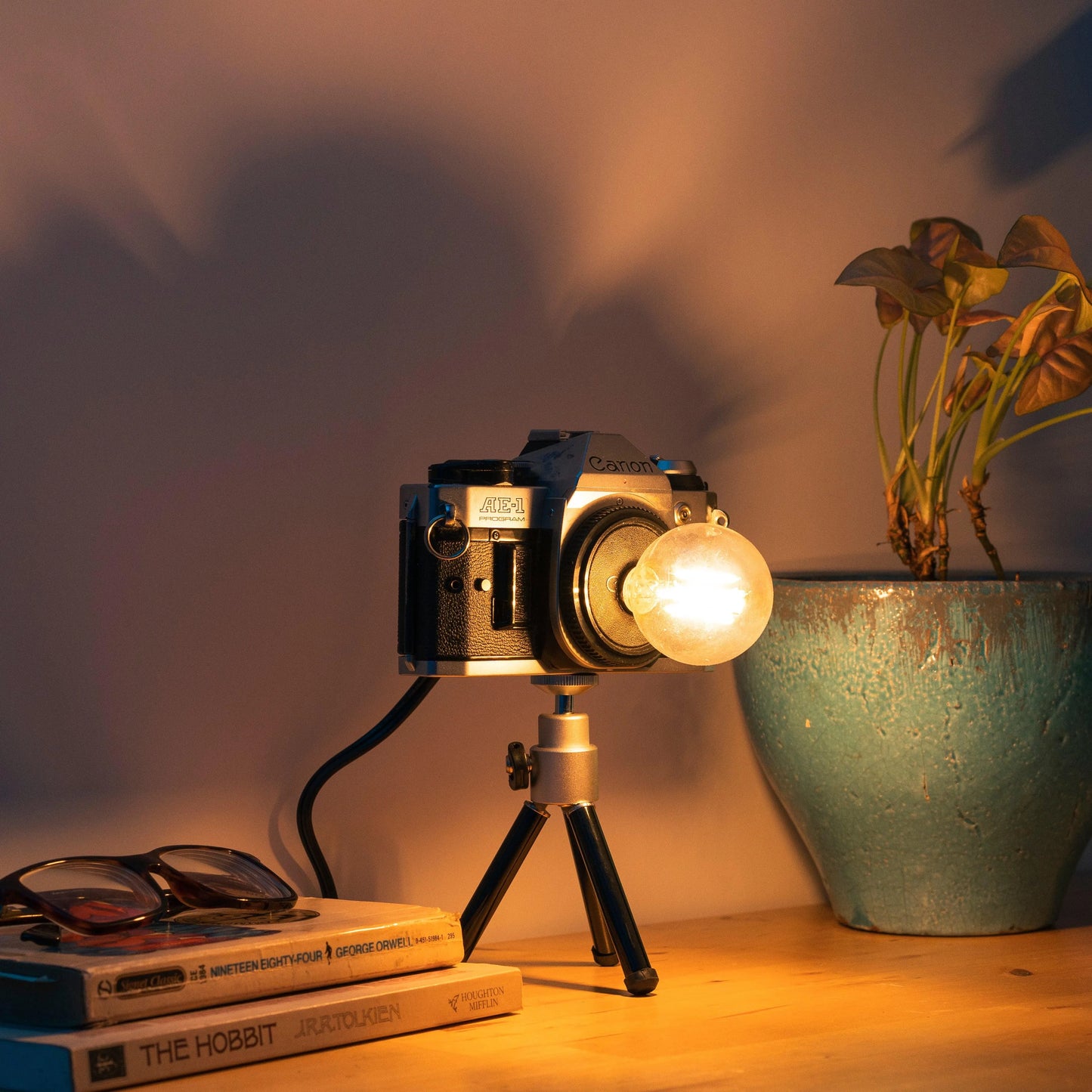 Cute Camera Co. Desk Lamp