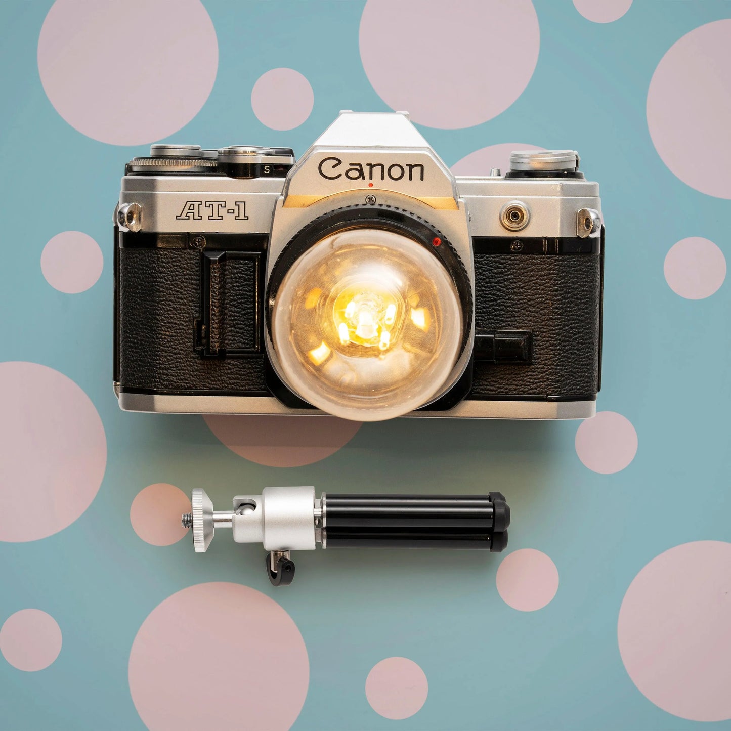 Cute Camera Co. Desk Lamp