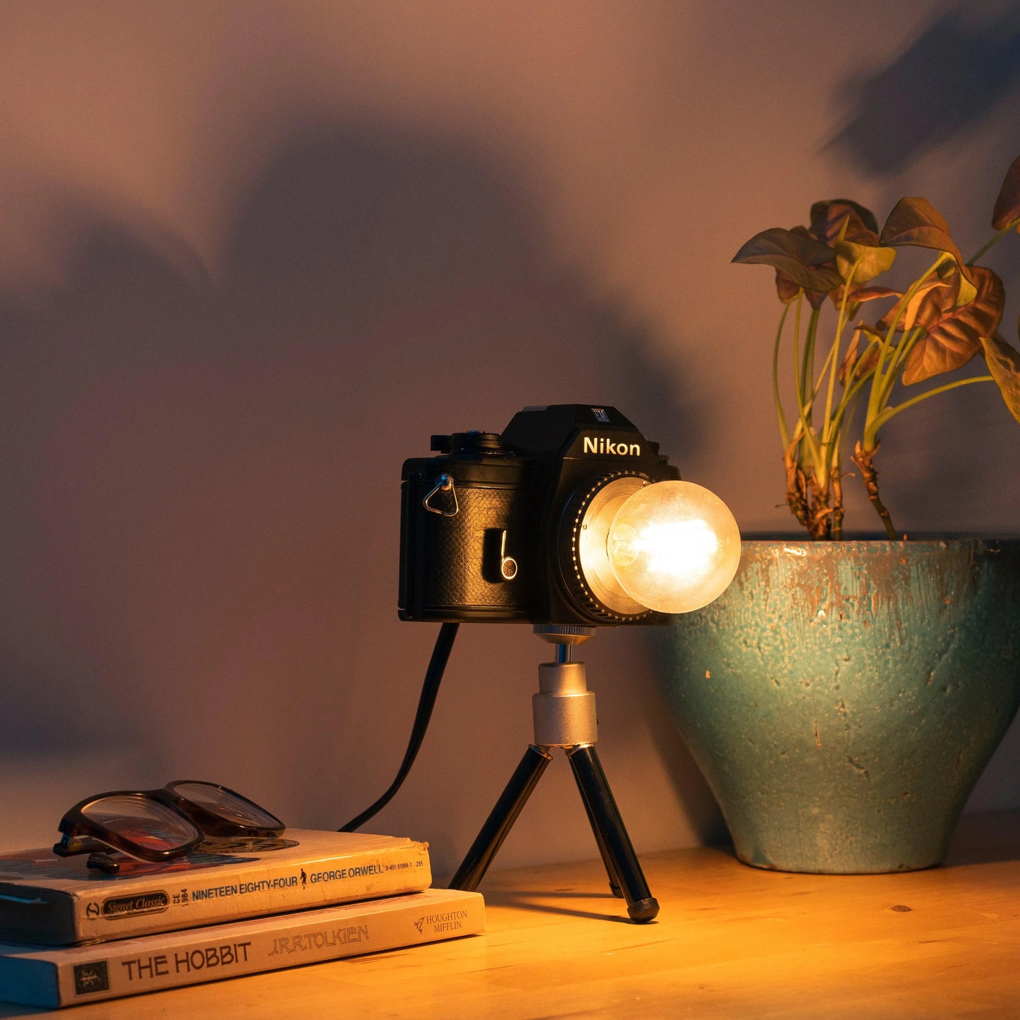 Cute Camera Co. Desk Lamp