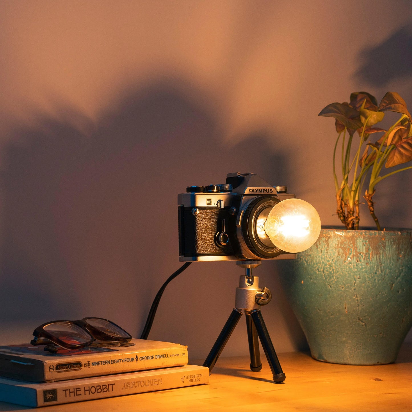 Cute Camera Co. Desk Lamp