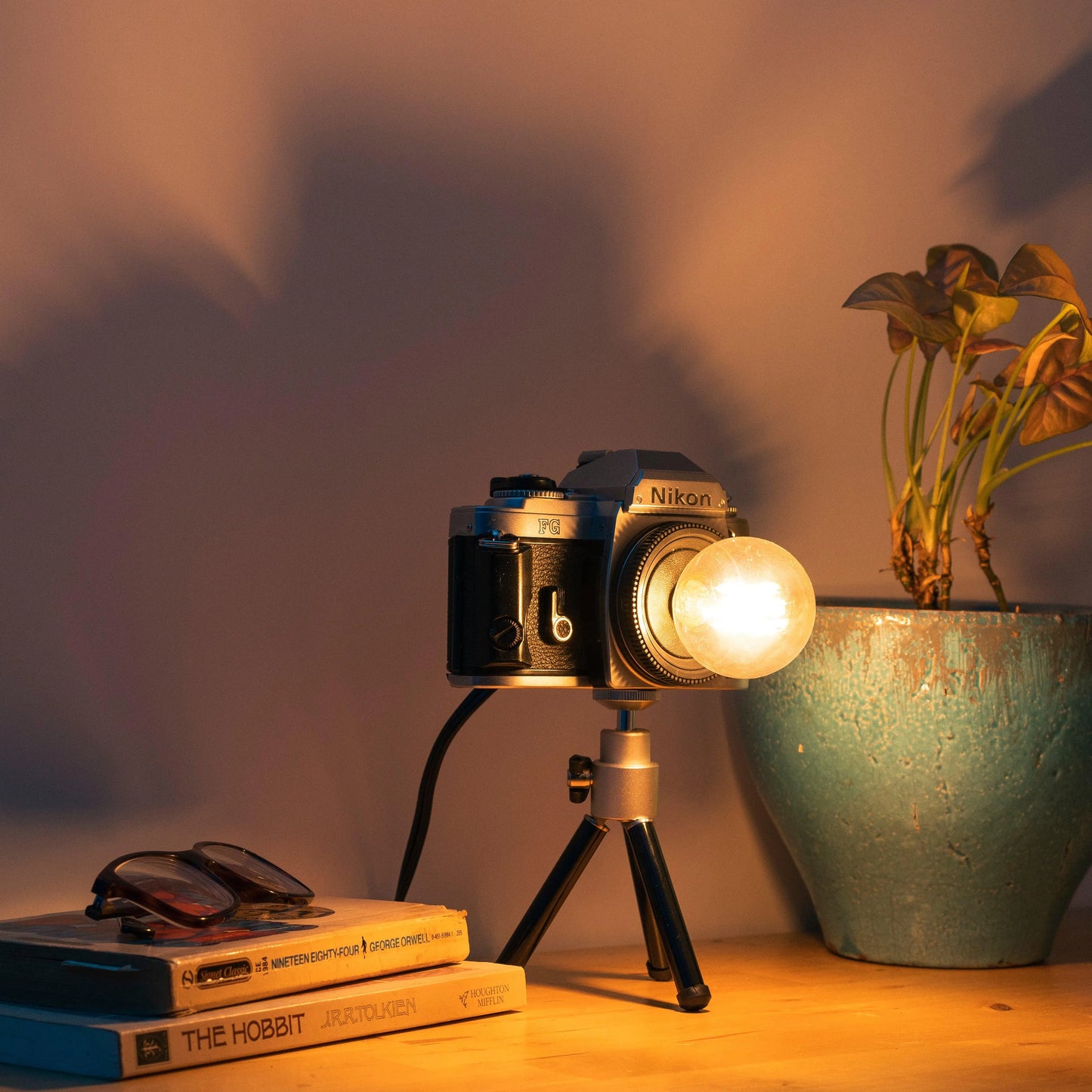 Cute Camera Co. Desk Lamp