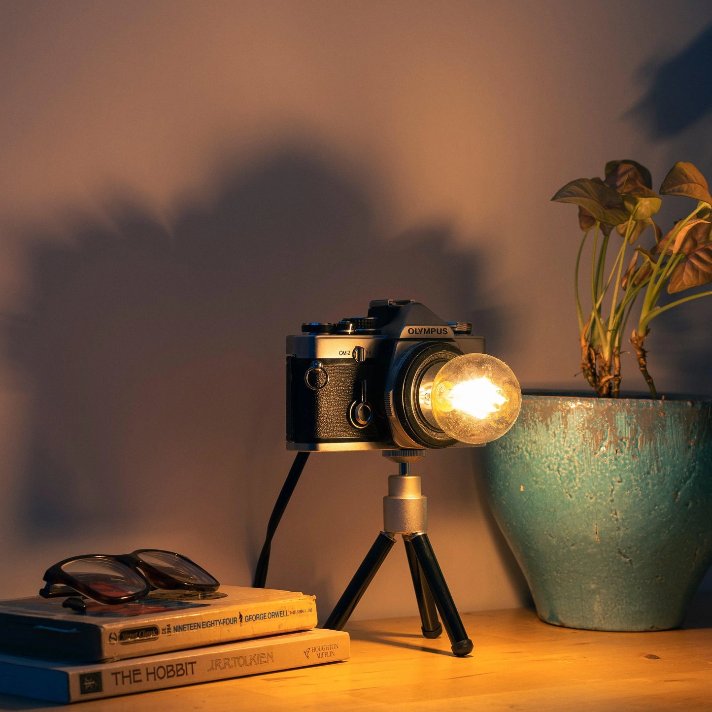 Cute Camera Co. Desk Lamp