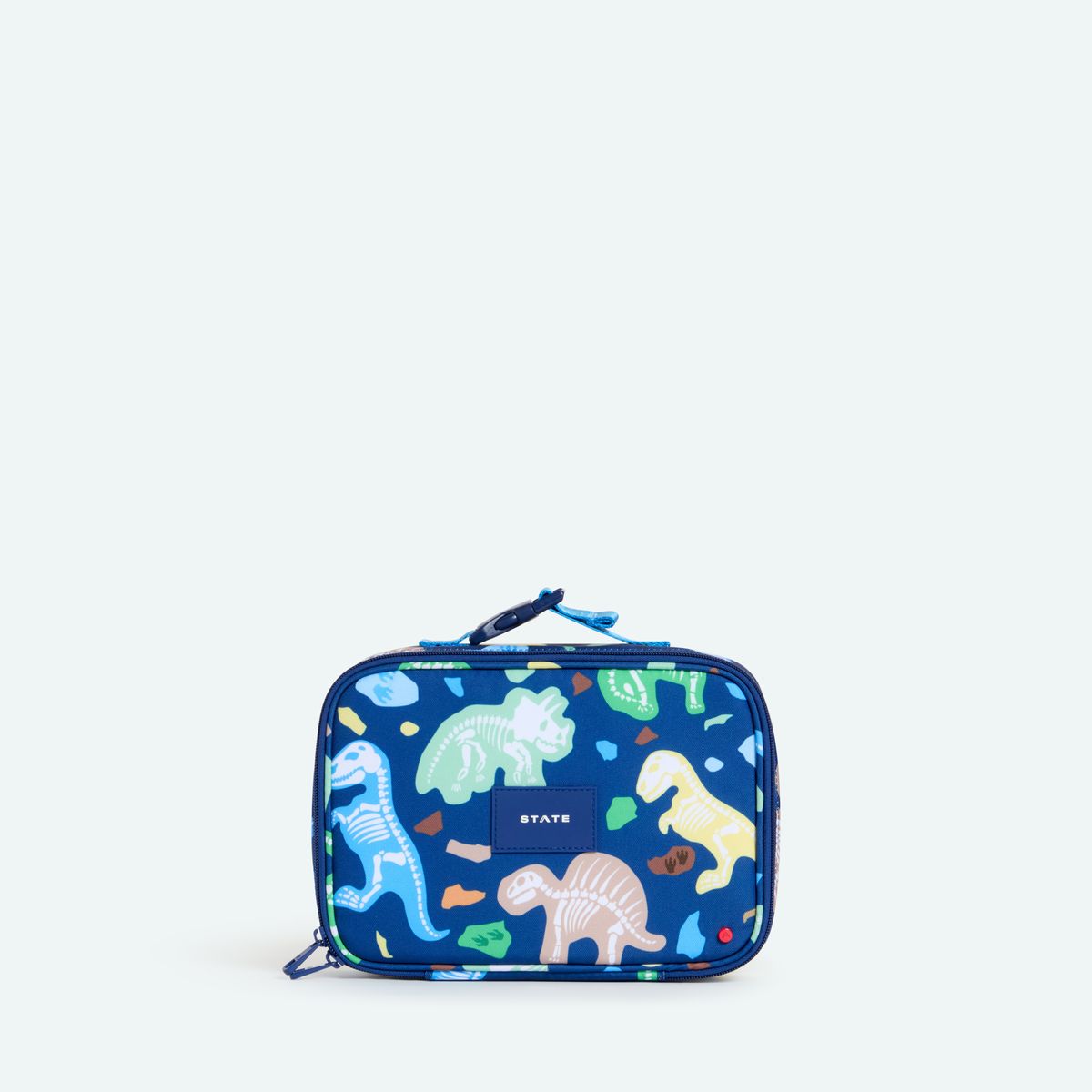 Dino Fossils Rodgers Lunch box