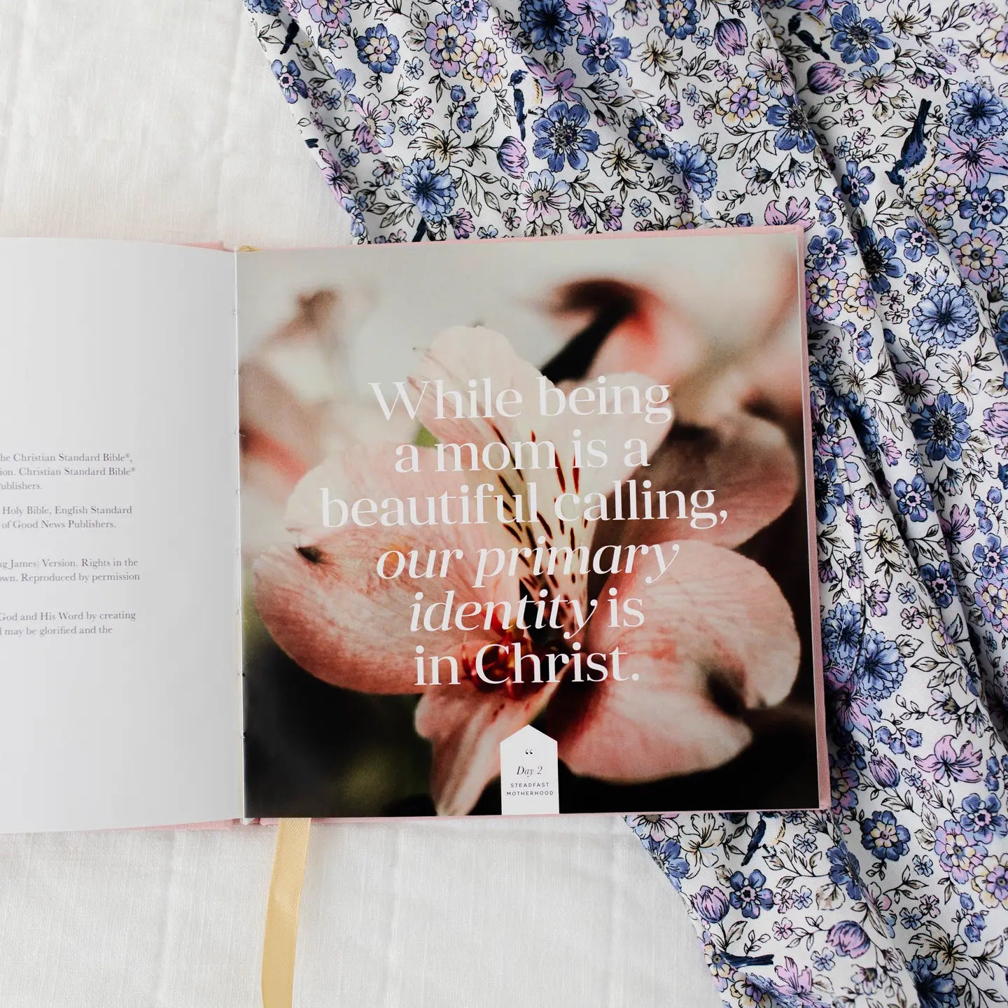 Steadfast Motherhood Devotional