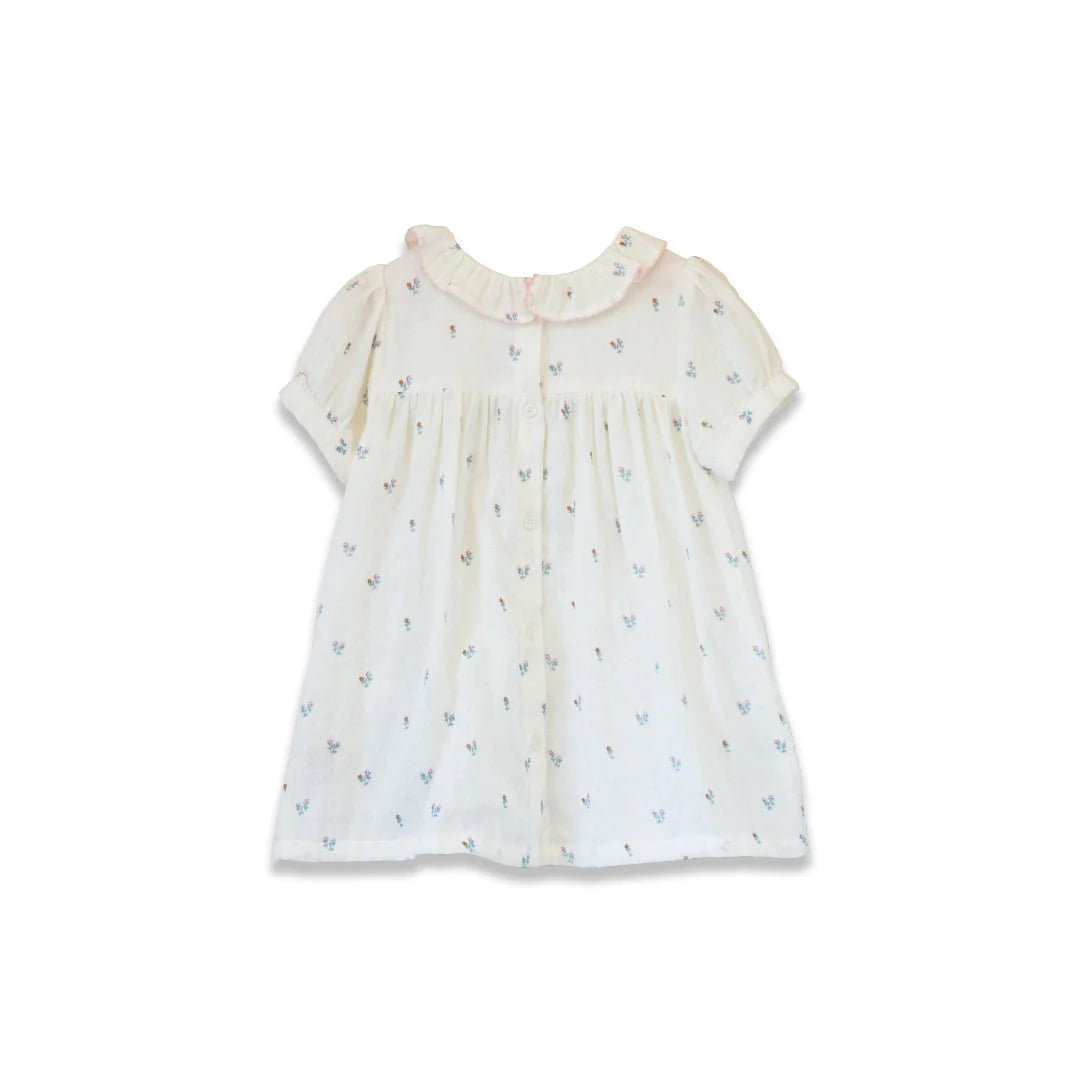 Petit Floret Toddler Emily Dress with Lace trim