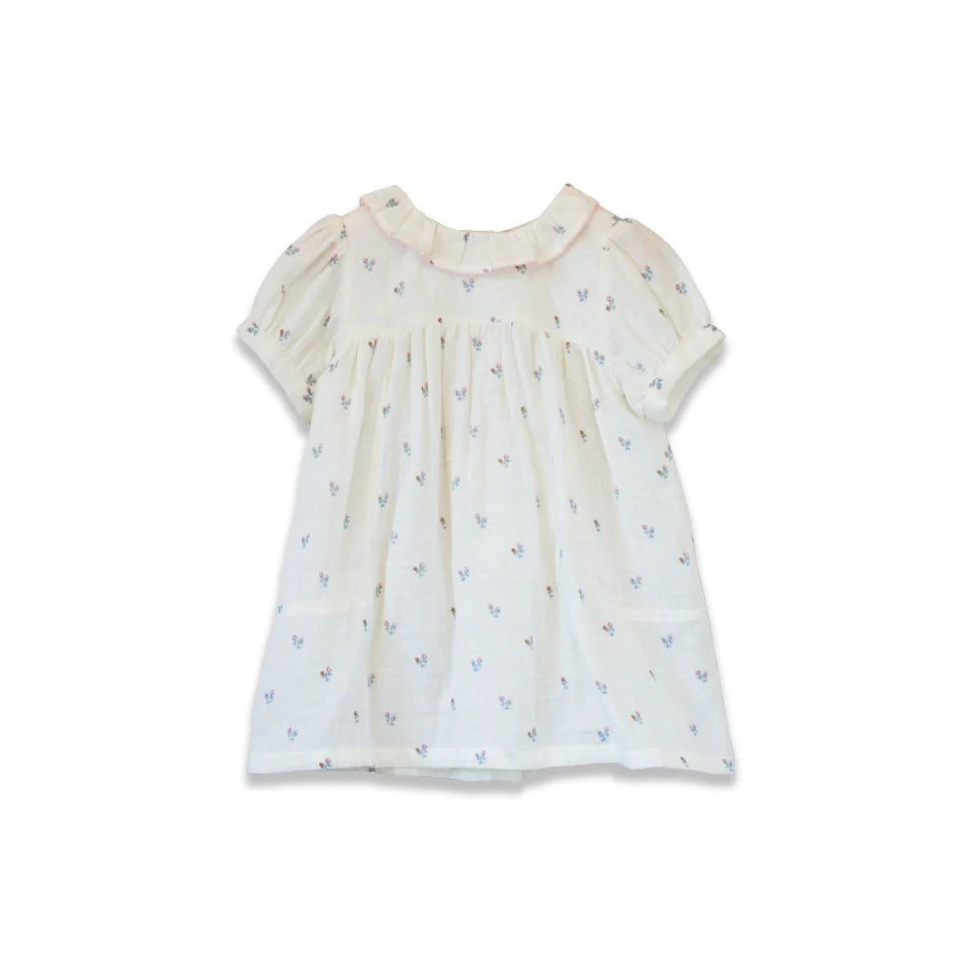 Petit Floret Toddler Emily Dress with Lace trim