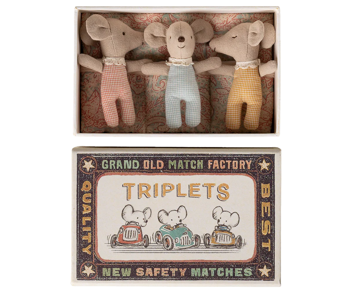 Triplets, Baby mice in matchbox -  Checker