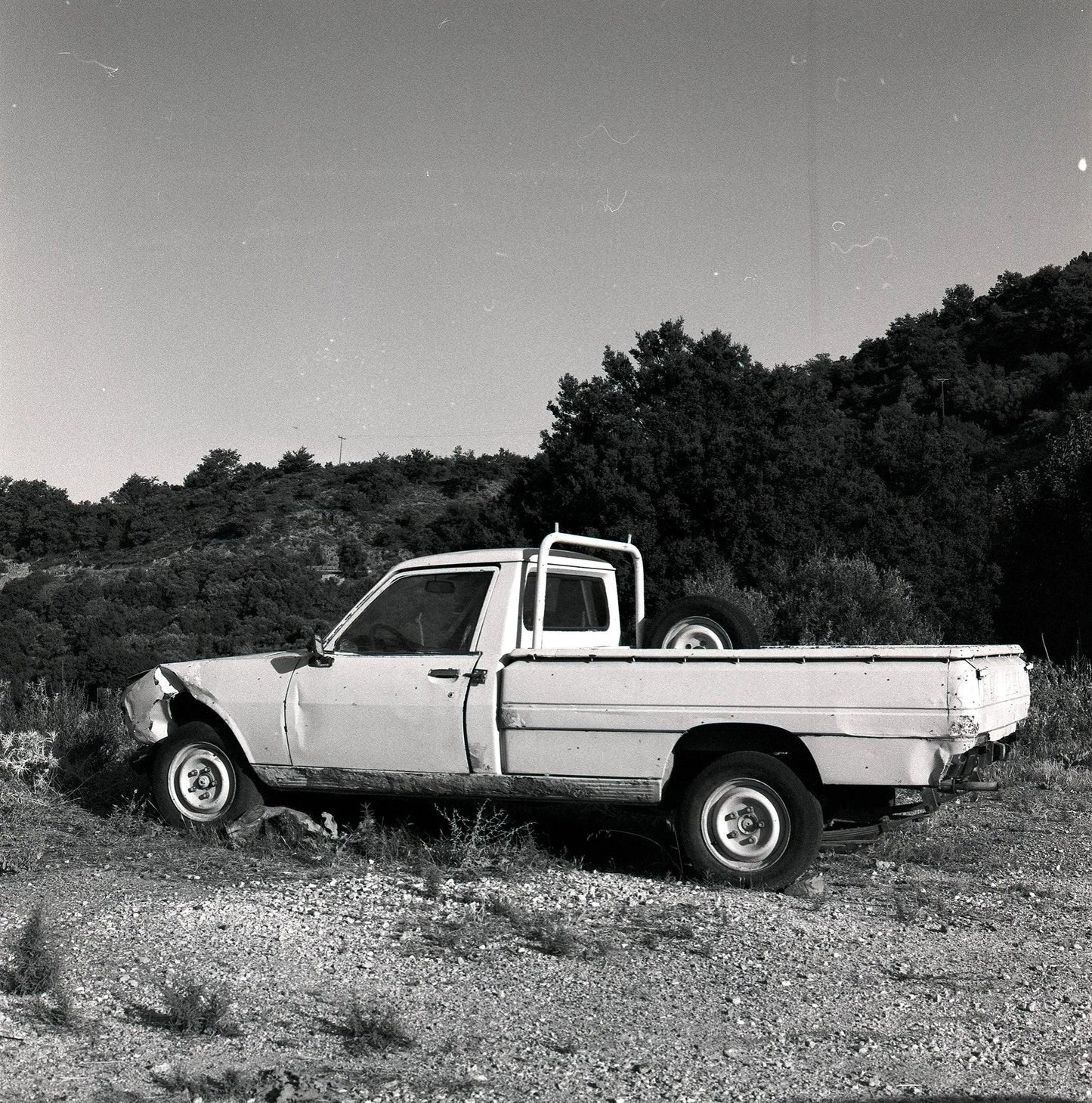 Kodak T-Max 400 - 35mm Black and White Film